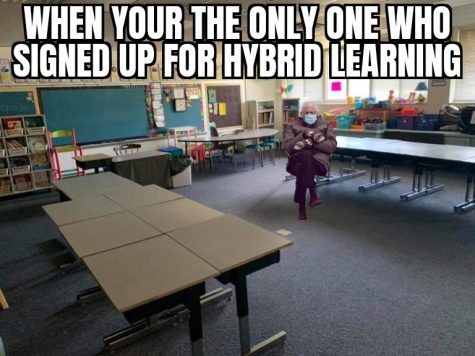 Hybrid Bernie