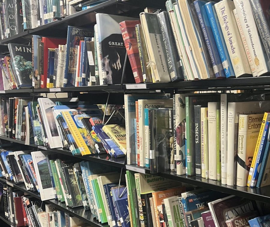 In+an+increasingly+distracted+and+digital+world%2C+more+students+are+finding+solace+and+fulfillment+in+the+age-old+hobby+of+reading+actual+books.++Shown+here+are+some+shelves+from+the+EHS+library.