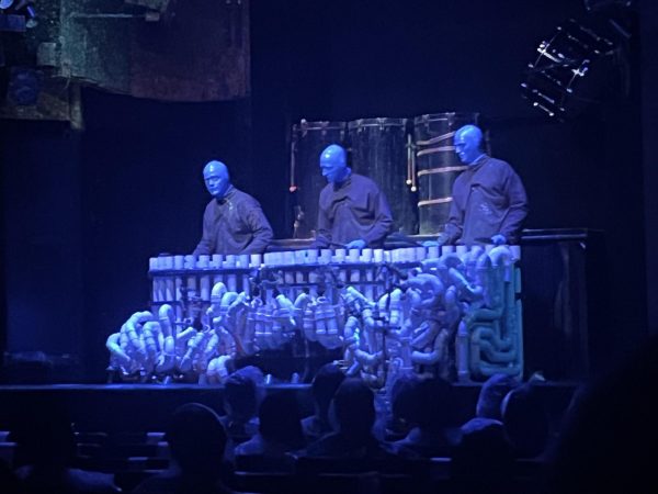 If you haven't yet witnessed the wonder that is a Blue Man Group performance, don't wait much longer, you won't regret it.