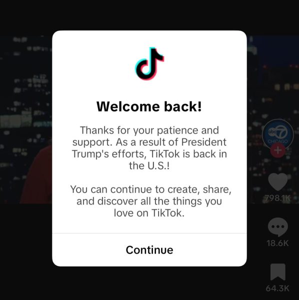 TikTok: Should it stay or should it go?