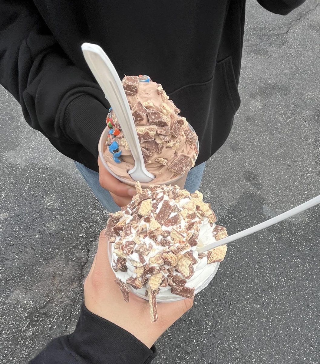 I usually order a soft serve; I find it to be better than the hard serve. I usually do a flurry mix-in with chocolate soft serve ice cream, M&M's, and chocolate sprinkles