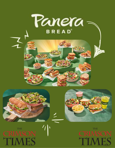 Panera is my favorite food chain for sure. I’ve never had a bad experience personally.