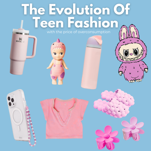 We have a growing obsession with following trends only for the sake of  following trends, even if we don't have a use for the item.