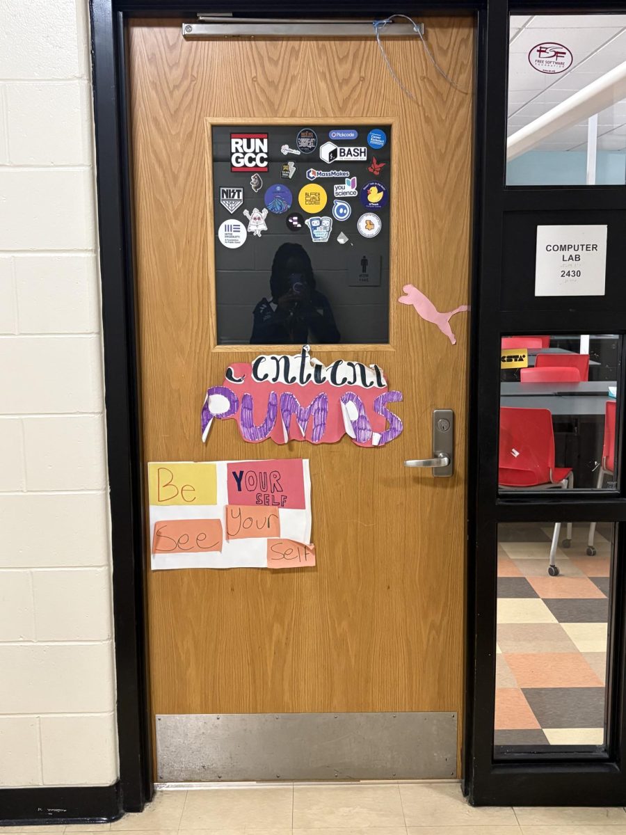 For resilience, room 2430 created a simple design with a puma as the mascot.