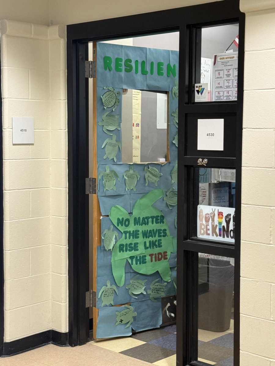 For resilience, room 4530. Designed with turtle outlines. Door design consists of individual turtles. 