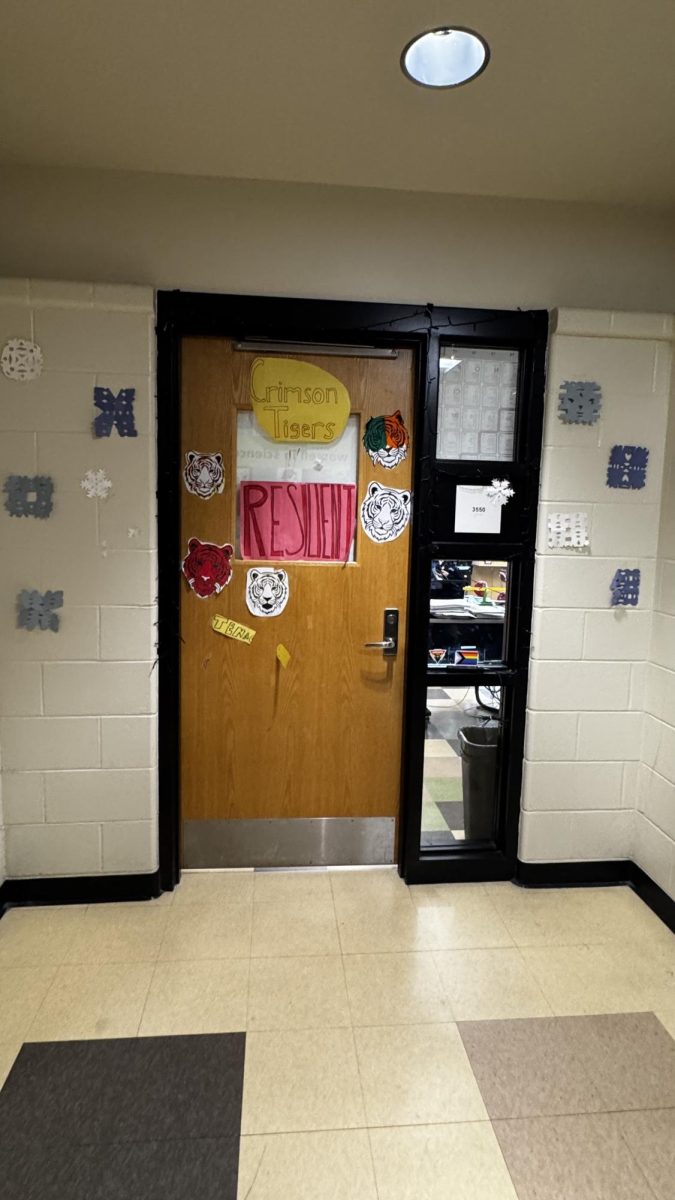 For resilience room 3550 chose a tiger for mascot. 
