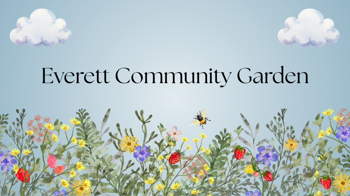 Everyday people think of what they are going to eat for their next meal. For some, that thought is stressful. Everett Community Growers is helping to ease that stress but several factors are getting in their way. If we, the people of Everett, stand with our organizations, we will help Everett become better.