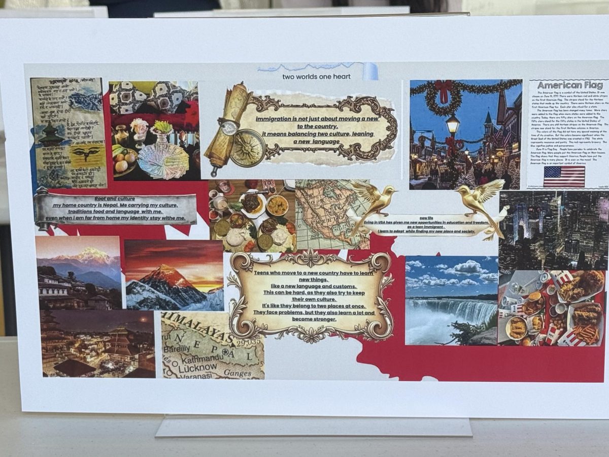 "Carrying My Culture With Me" by Malden High student Janbi Thapa