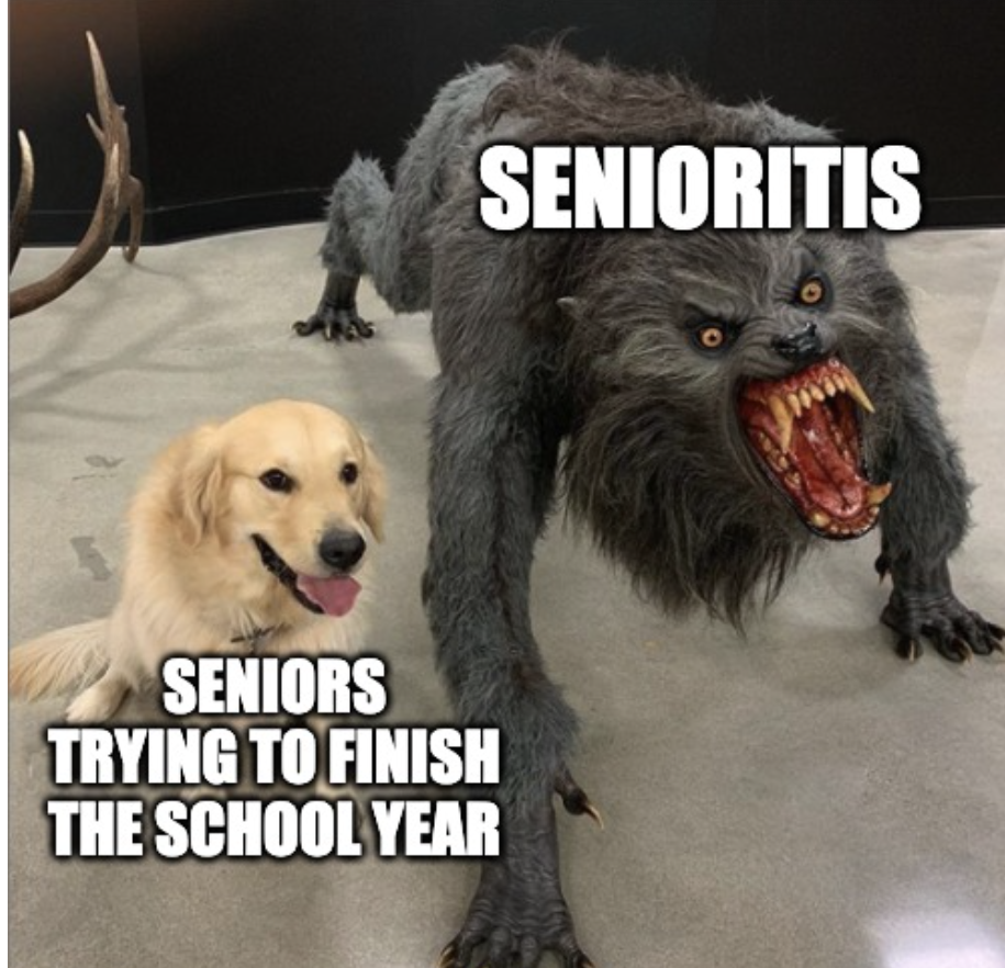 Seniors pushing through the school year until graduation.